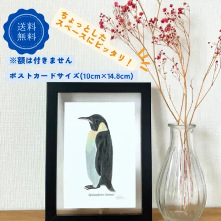 【ハンドメイド】水彩ポストカード｜コウテイペンギン｜暑中見舞いにも