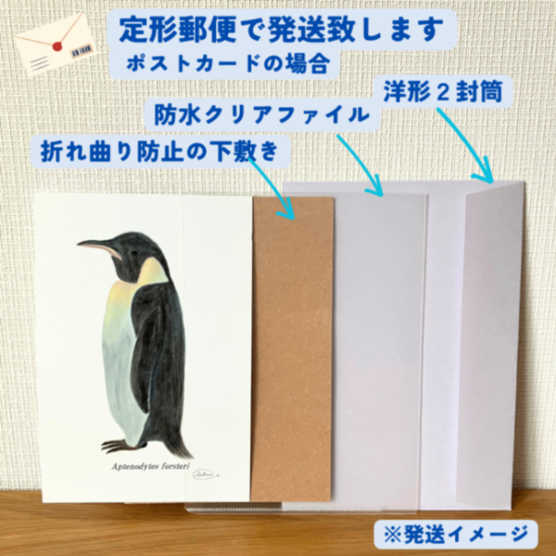 【ハンドメイド】水彩ポストカード｜コウテイペンギン｜暑中見舞いにも