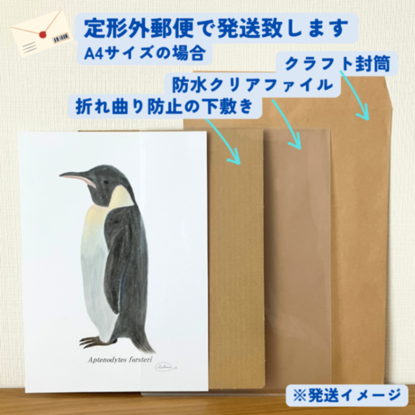 【ハンドメイド】水彩ポストカード｜コウテイペンギン｜暑中見舞いにも