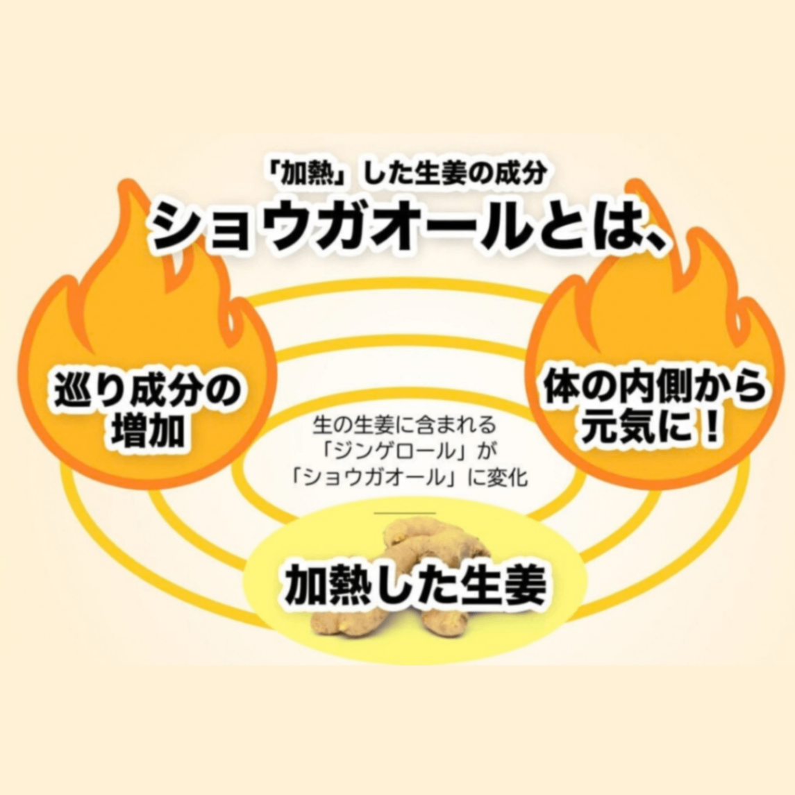 生姜百景 有機生姜シロップ500ml｜有機JAS｜有機レモン・有機みかん｜添加物不使用｜3〜5倍濃縮