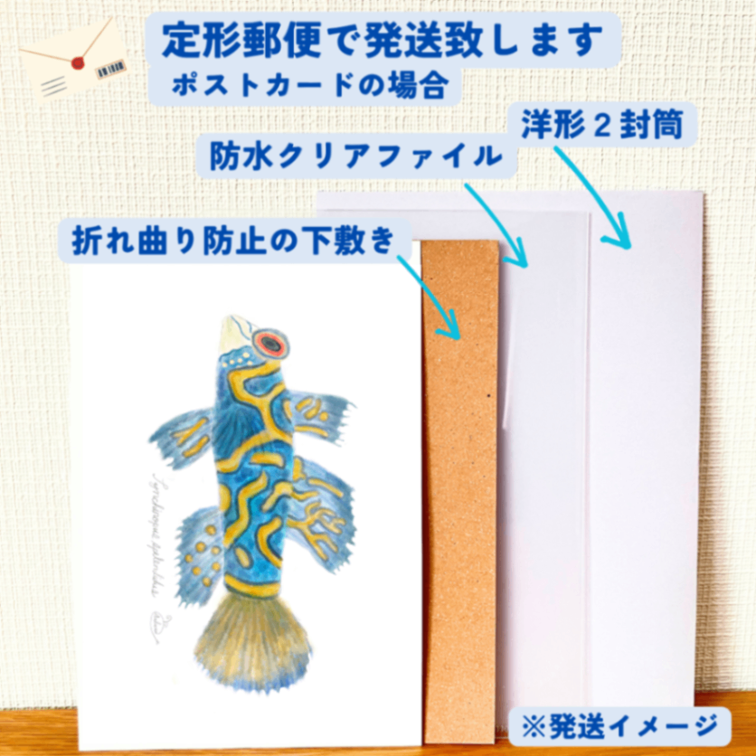 【ハンドメイド】水彩ポストカード｜ニシキテグリ｜海の生き物イラスト