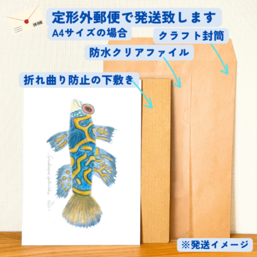 【ハンドメイド】水彩ポストカード｜ニシキテグリ｜海の生き物イラスト