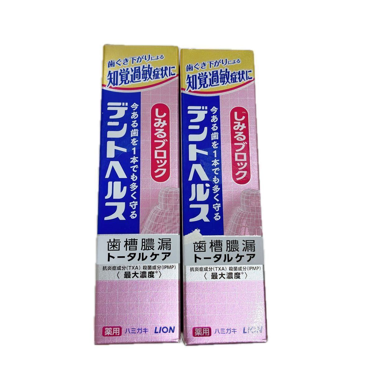 LION デントヘルス しみるブロック 薬用ハミガキ  2本セット 歯槽膿漏 知覚過敏