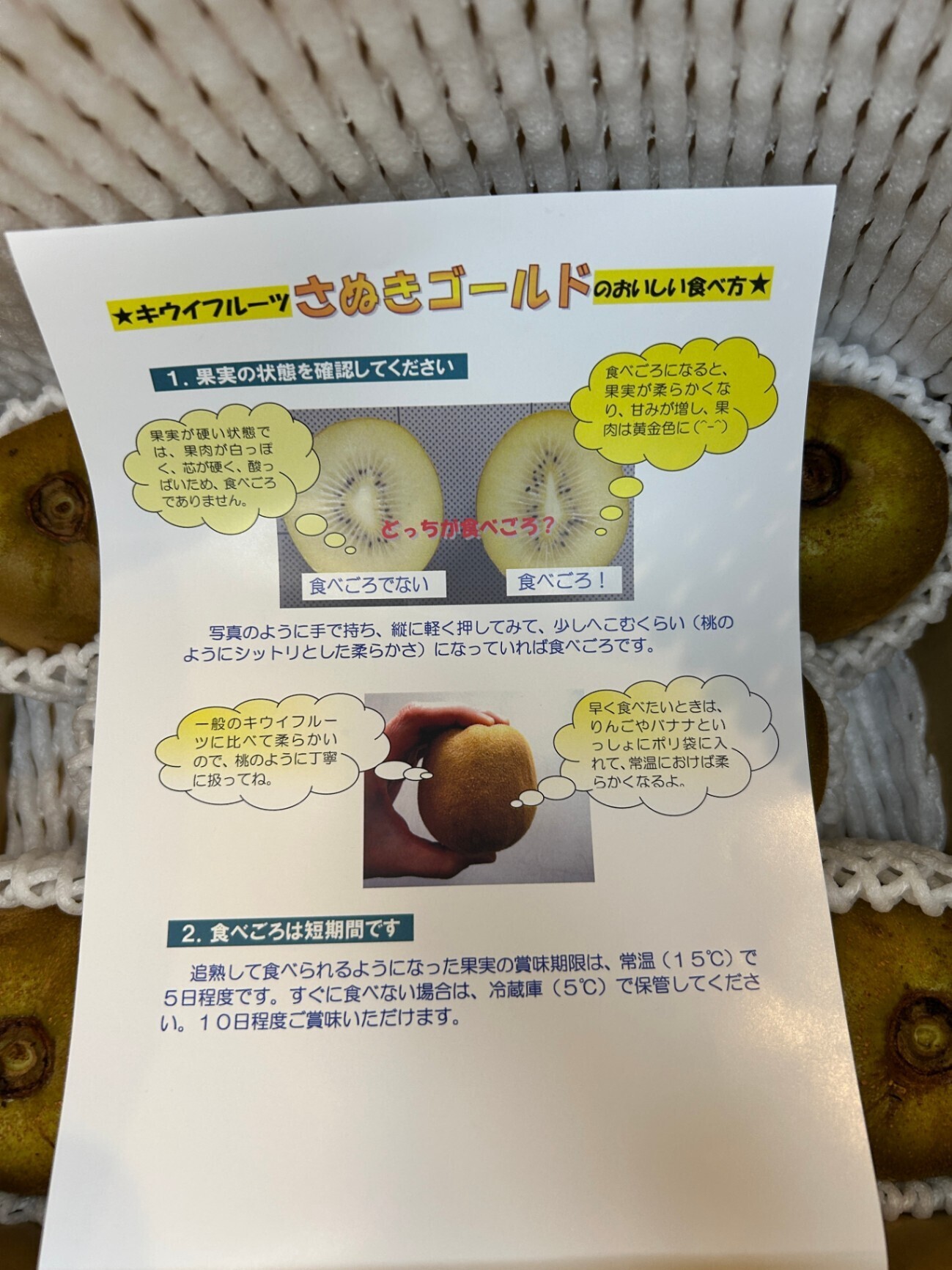 【秋の贅沢】香川県産キウイフルーツ「さぬきゴールド」約1.8kg　8玉