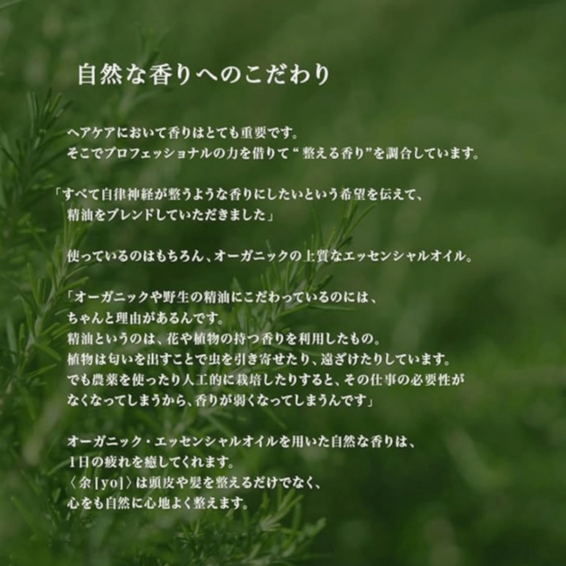 余白2 シャンプー 潤い感 詰替300mL｜頭皮の健やかさ・ケミカル・フリー・天然由来100％