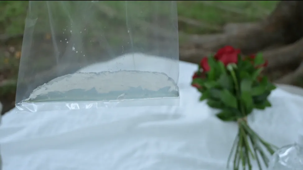 赤いバラの花束〜「ありがとう」を真っ直ぐに伝える〜
