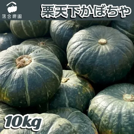 北海道産 かぼちゃ 栗天下 10kg 落合農園 美深町産 カボチャ 南瓜 しっとり ねっとり