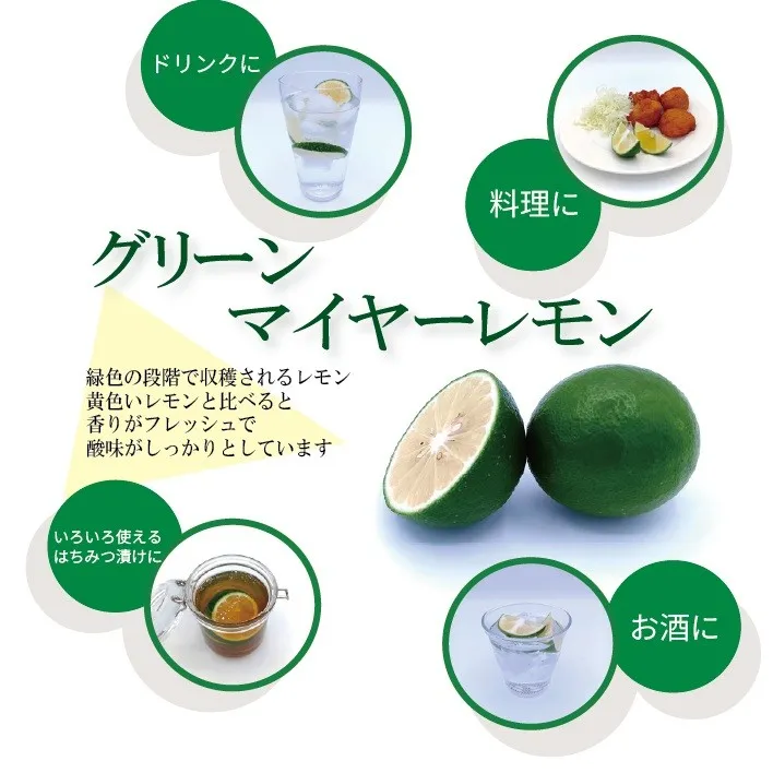 緑色のレモン『グリーン マイヤーレモン』 1.8kg