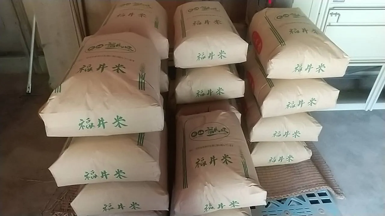 令和8年産  鹿も狙ううまい米 5kg(コシヒカリ・無洗米)【秋の味覚】