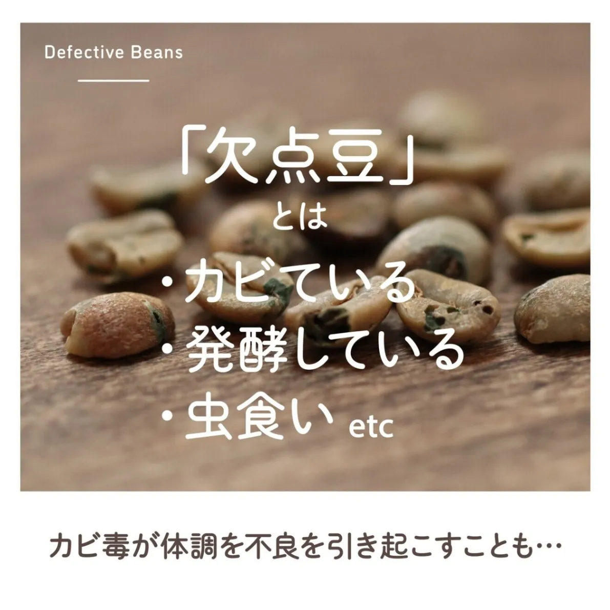 【ギフト用】まめなりコーヒー プチギフト ドリップ3袋／水出し3個 化粧箱入り 体にやさしい 珈琲