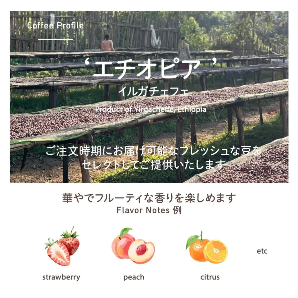 【ギフト用】まめなりコーヒー プチギフト ドリップ3袋／水出し3個 化粧箱入り 体にやさしい 珈琲