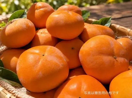 西吉野の農家自慢のあわせ柿【家庭用】※基本送料込み