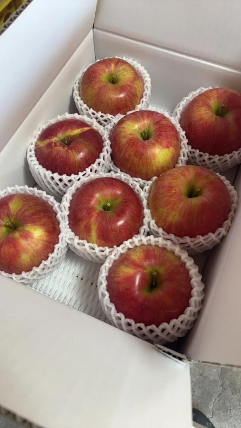 🍎【福島県福島市から、甘酸っぱい「紅玉」をお届け】🍎