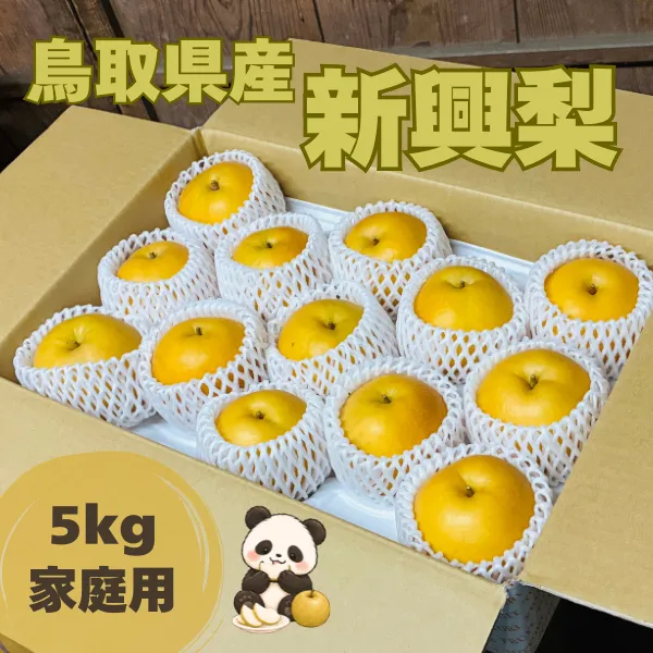 🍐【鳥取県産】大玉・甘くて美味しい新興梨！13個入り（5kg以上）ご家庭用