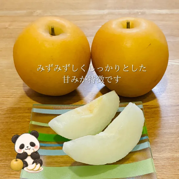 🍐【鳥取県産】大玉・甘くて美味しい新興梨！13個入り（5kg以上）ご家庭用