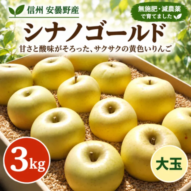 【信州安曇野産】シナノゴールド｜大玉3kg｜無施肥・減農薬｜甘酸っぱくサクサク