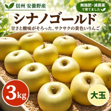 【信州安曇野産】シナノゴールド｜大玉3kg｜無施肥・減農薬｜甘酸っぱくサクサク