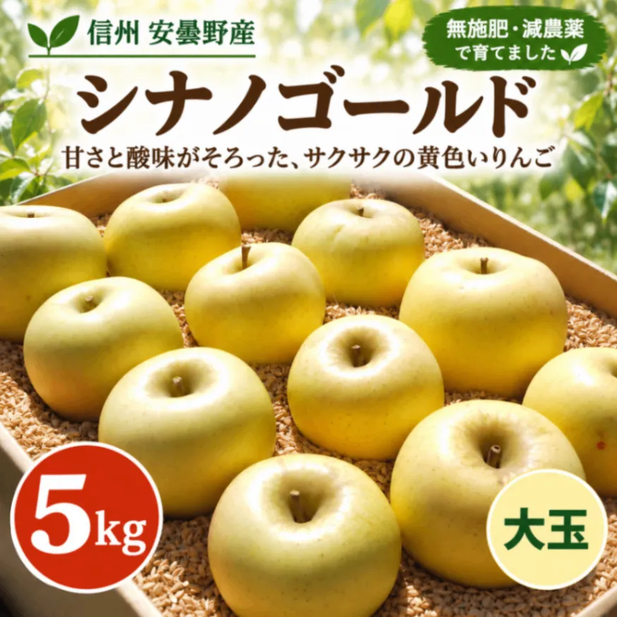 【信州安曇野産】シナノゴールド｜大玉5kg｜無施肥・減農薬｜甘酸っぱくサクサク