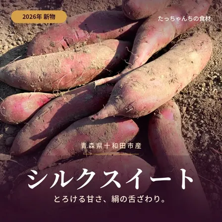 シルクスイート　青森県十和田市産  5kg　農薬不使用　【秋の味覚】