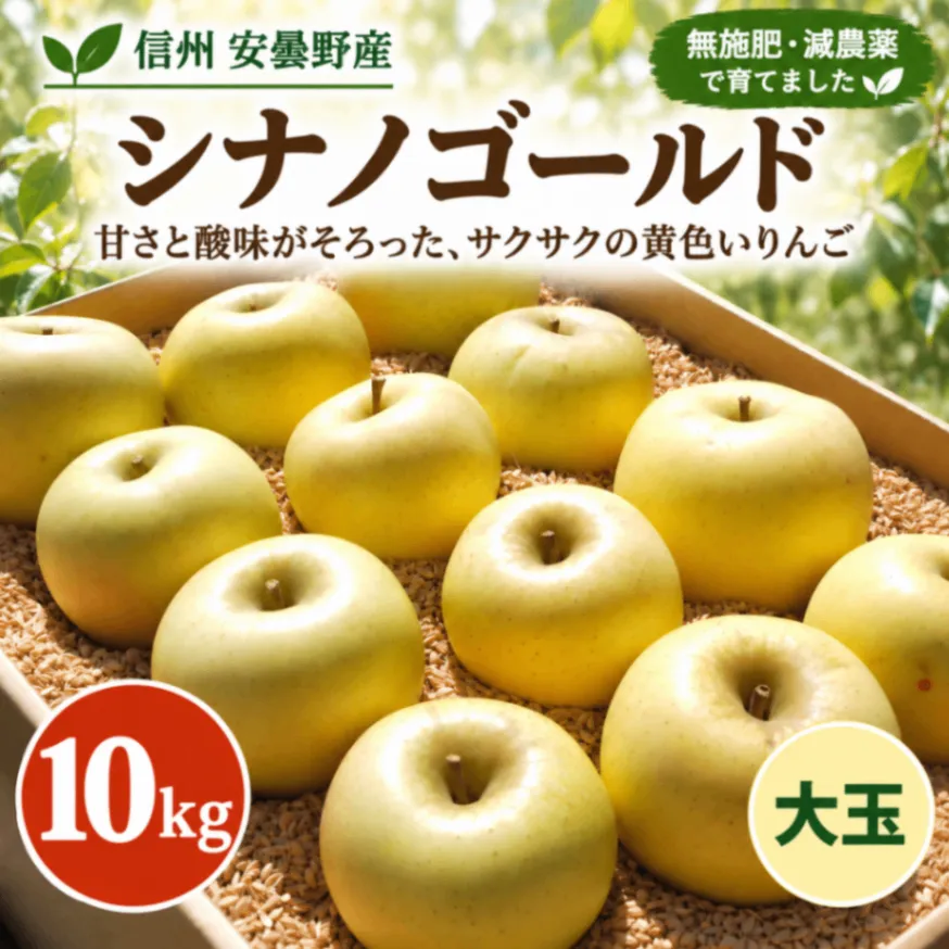 【信州安曇野産】シナノゴールド｜大玉10kg｜無施肥・減農薬｜甘酸っぱくサクサク