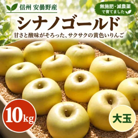 【信州安曇野産】シナノゴールド｜大玉10kg｜無施肥・減農薬｜甘酸っぱくサクサク