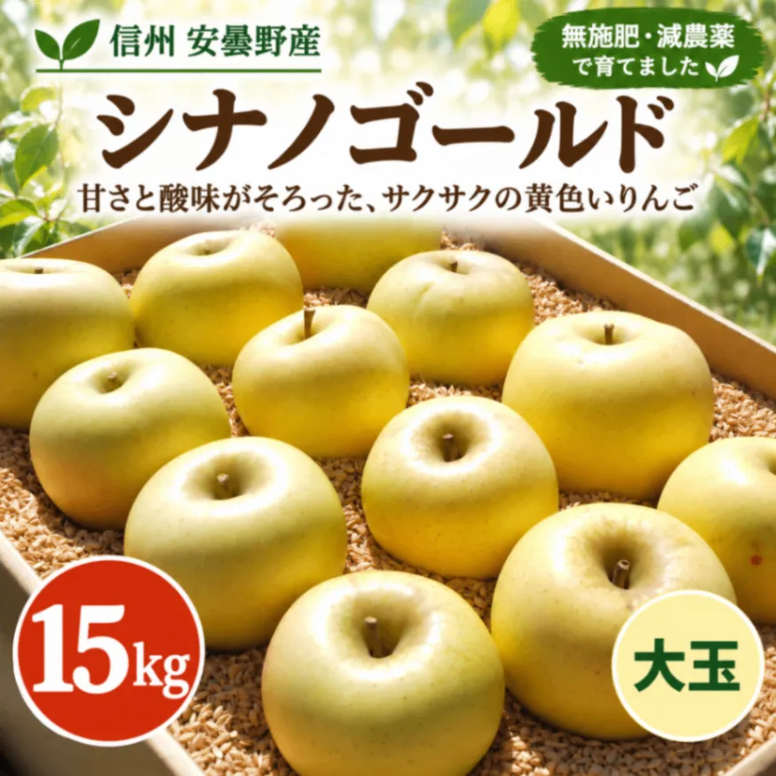 【信州安曇野産】シナノゴールド｜大玉15kg｜無施肥・減農薬｜甘酸っぱくサクサク