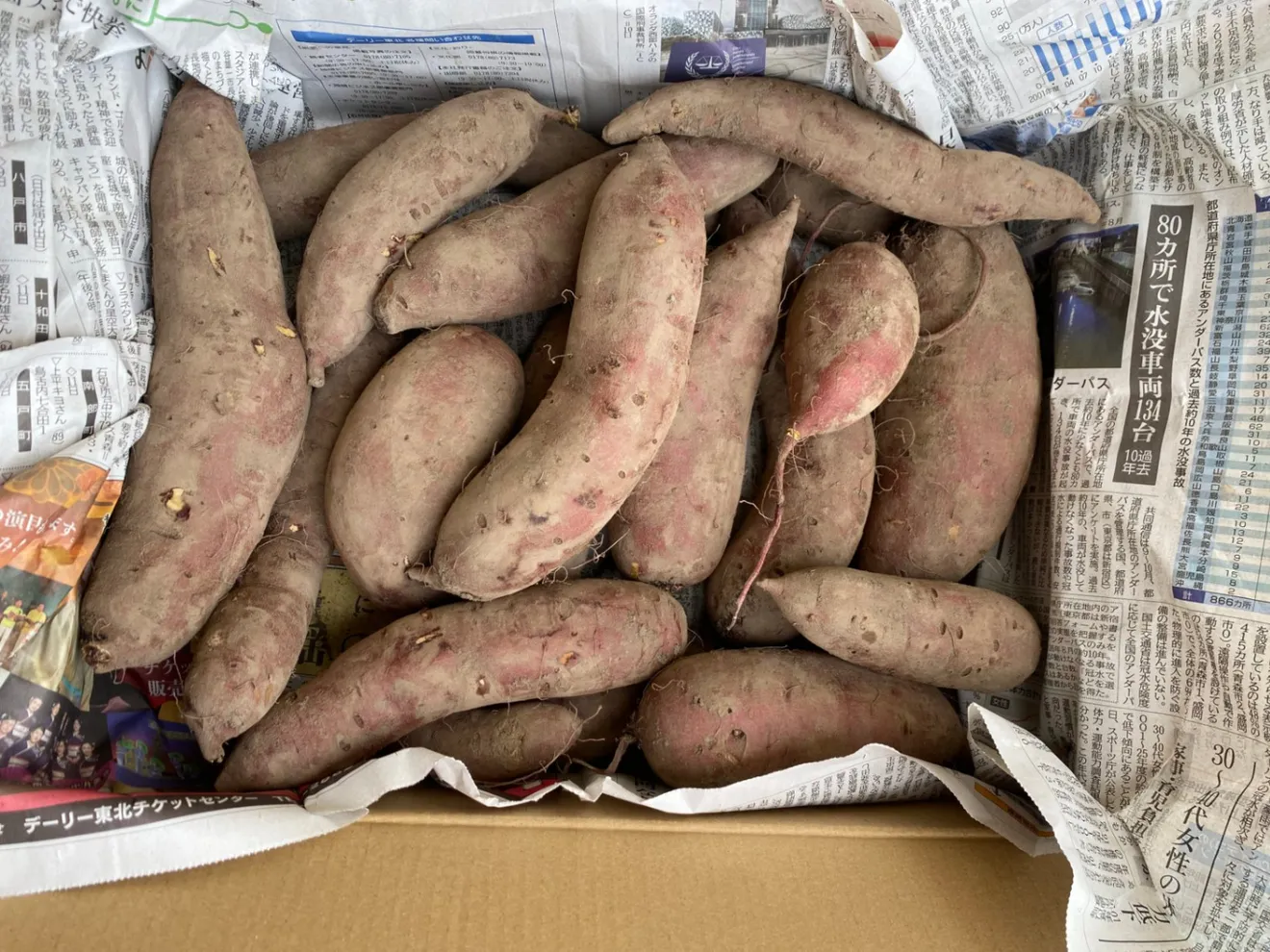 べにはるか　青森県十和田市産  5kg　農薬不使用【秋の味覚】