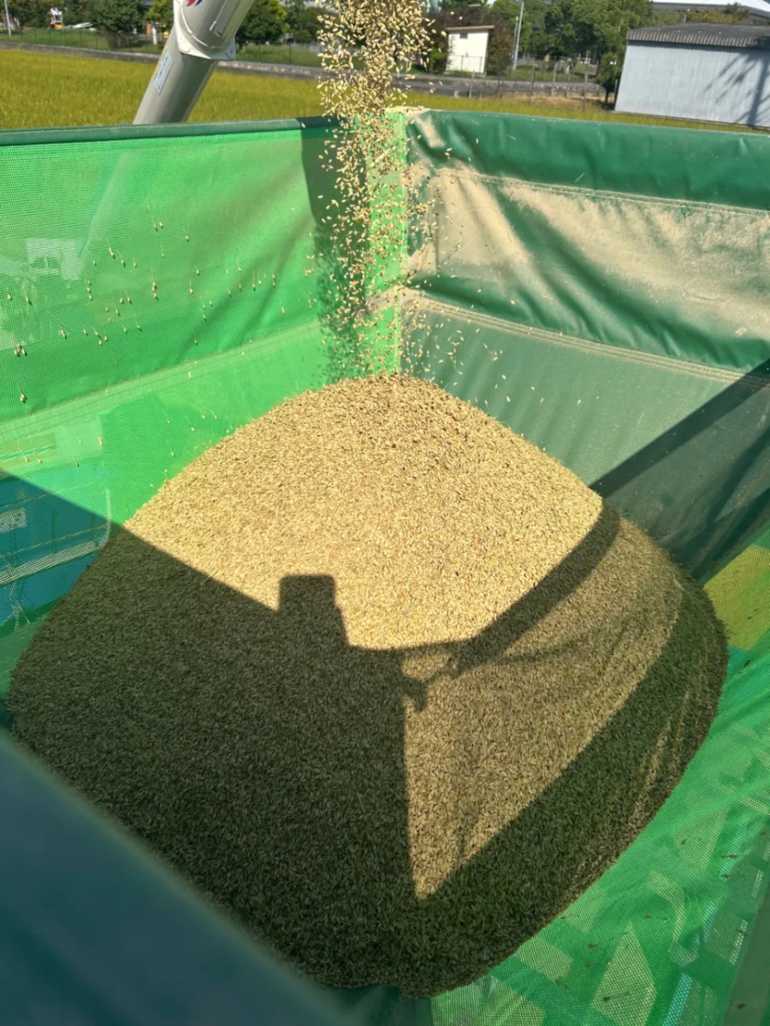 【新米】奈良県産ヒノヒカリ 白米5kg｜農家直送・送料込み