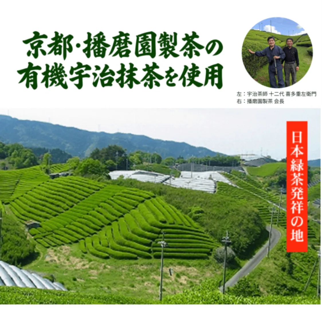 有機宇治抹茶ペースト50g｜緑茶50杯分｜京都・播磨園製茶の有機宇治抹茶使用｜砂糖不使用