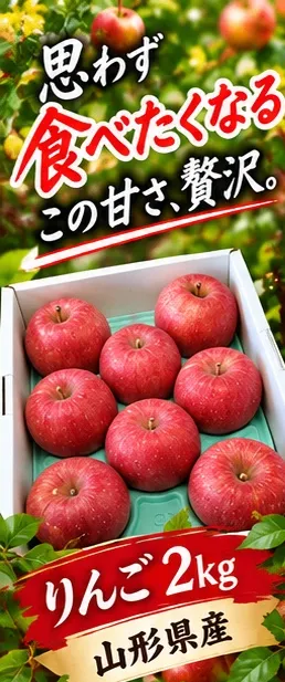 山形県産 ふじりんご　【先行予約　発送11月下旬予定】