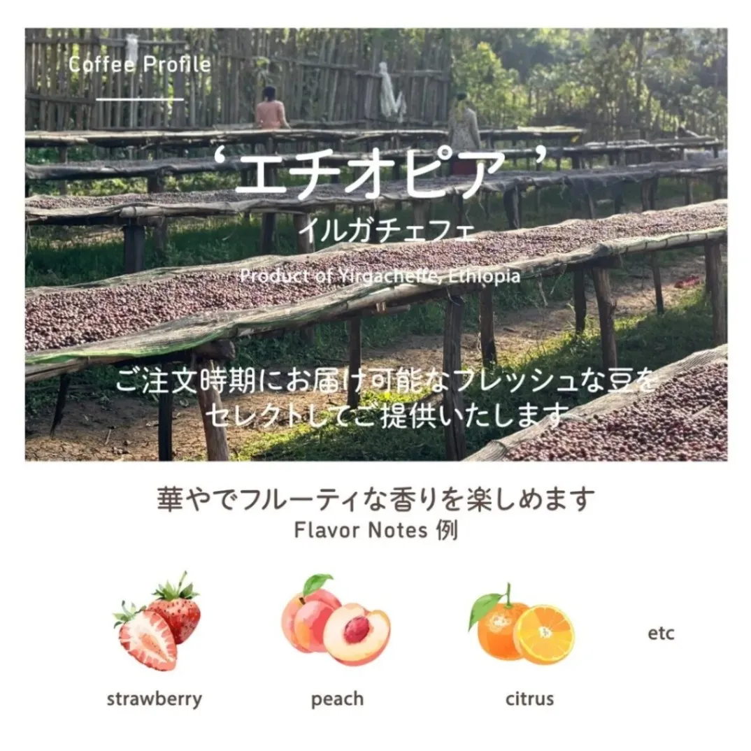 【ギフト用】まめなりコーヒー 詰め合わせ 中身が選べる ドリップ20袋／ドリップ10袋＋水出し6個