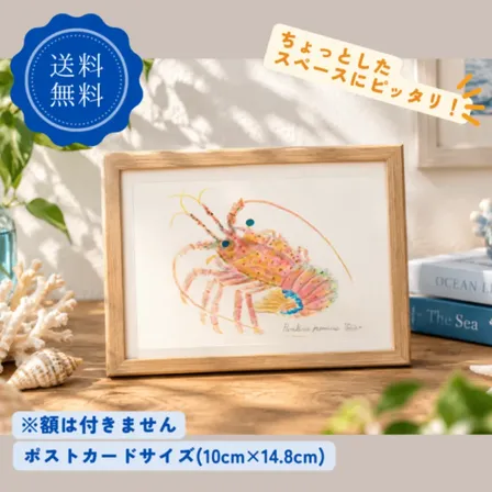 【ハンドメイド】水彩ポストカード｜伊勢海老｜縁起物イラスト