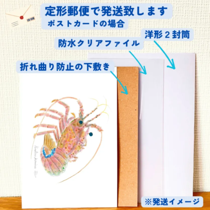 【ハンドメイド】水彩ポストカード｜伊勢海老｜縁起物イラスト