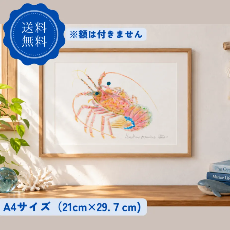 【ハンドメイド】水彩ポストカード｜伊勢海老｜縁起物イラスト