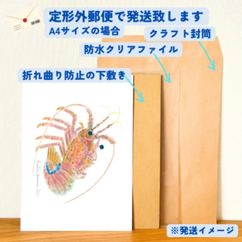 【ハンドメイド】水彩ポストカード｜伊勢海老｜縁起物イラスト