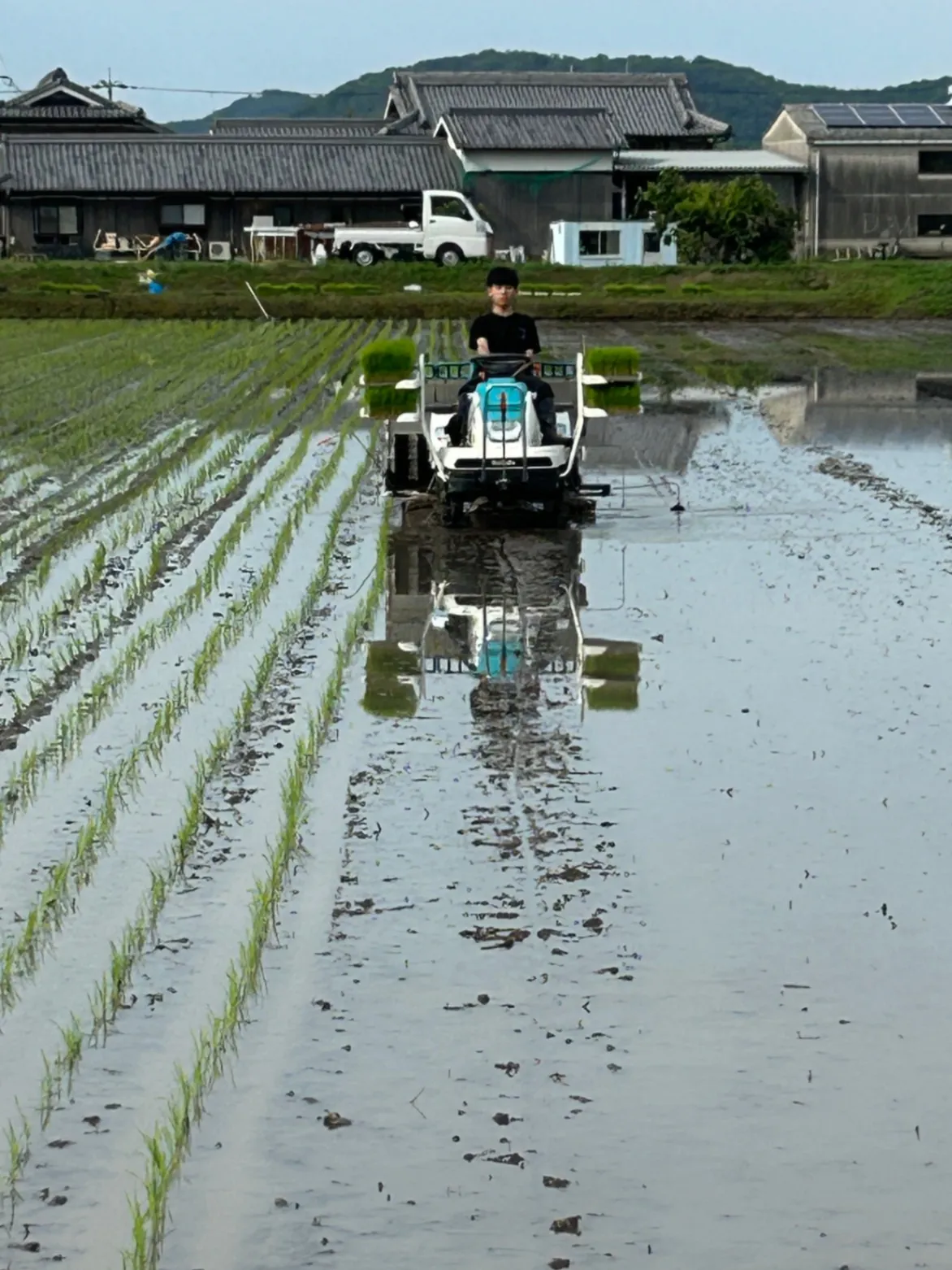 【新米・令和8年産】兵庫県産ヒノヒカリ 白米5.3kg（300ｇ増量） 農家直送・自家製のお米!