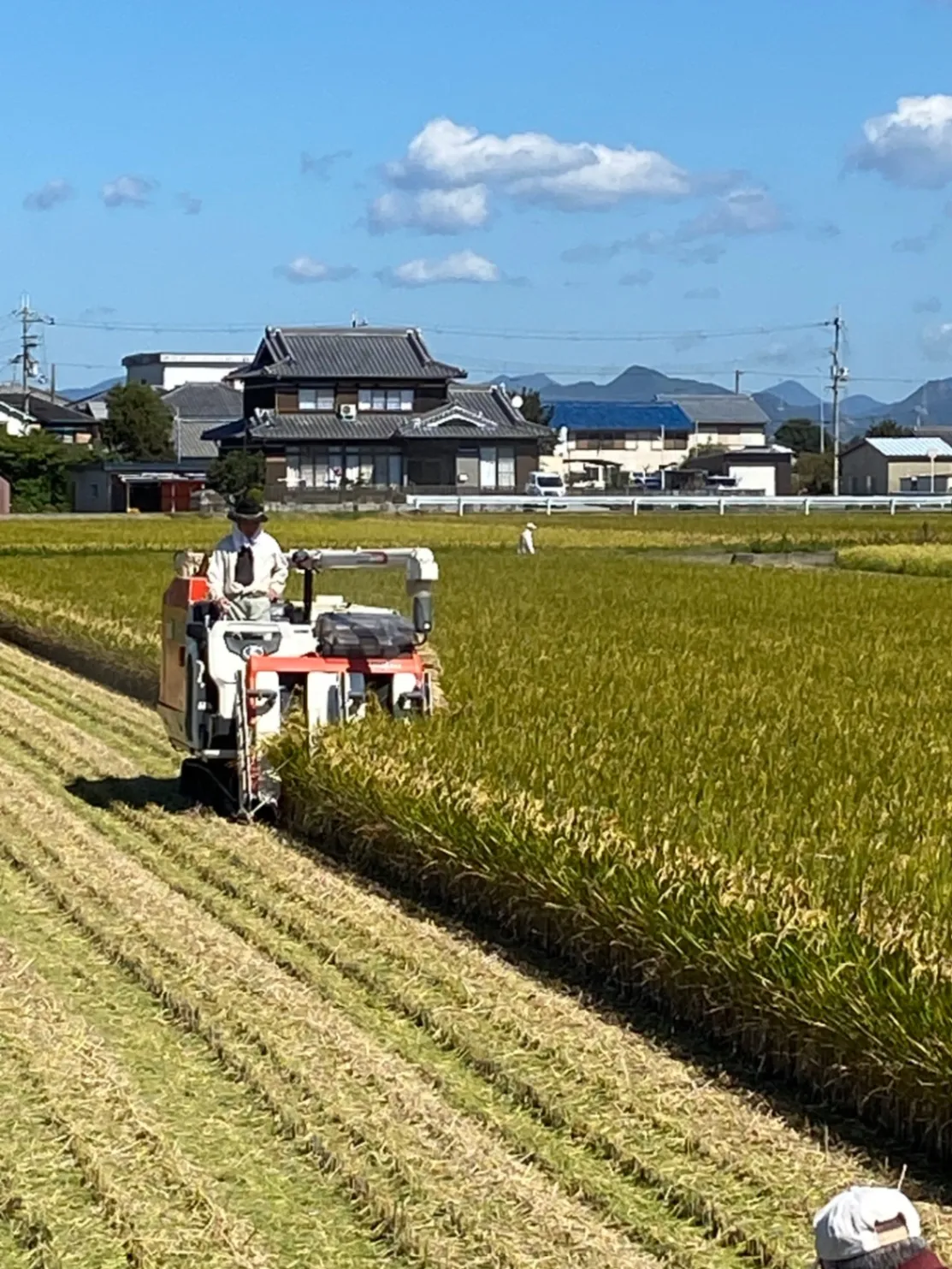 【新米・令和8年産】兵庫県産ヒノヒカリ 白米5.3kg（300ｇ増量） 農家直送・自家製のお米!