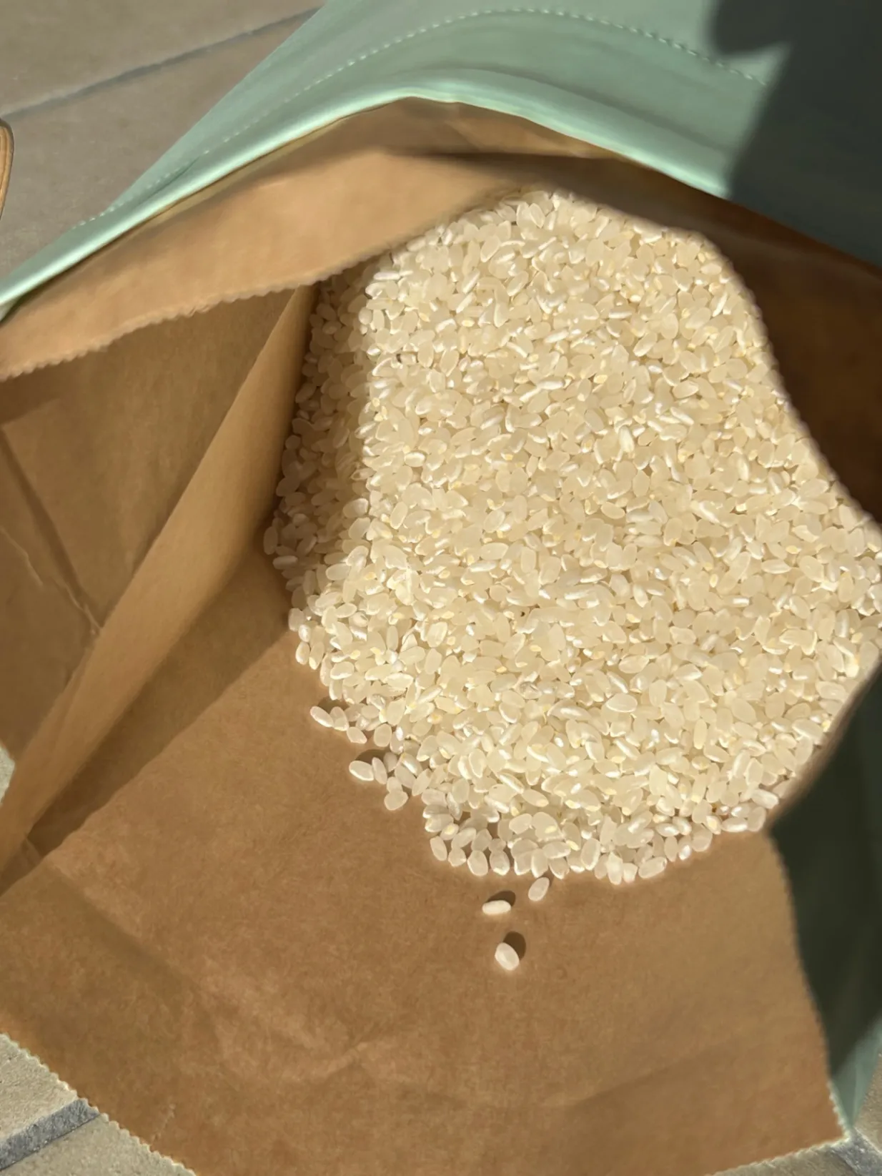 【新米・令和8年産】兵庫県産ヒノヒカリ 白米5.3kg（300ｇ増量） 農家直送・自家製のお米!