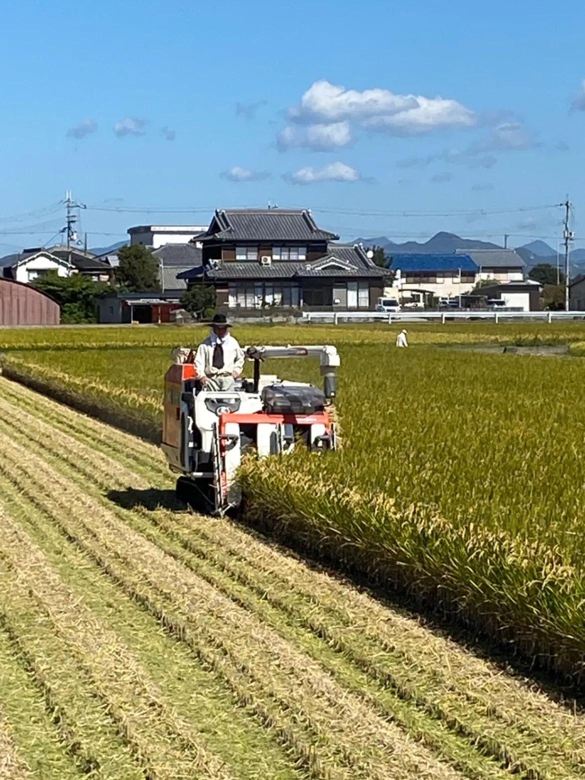 【新米・令和8年産】兵庫県産ヒノヒカリ 白米3kg 農家直送・自家製のお米！ご注文後に精米して発送