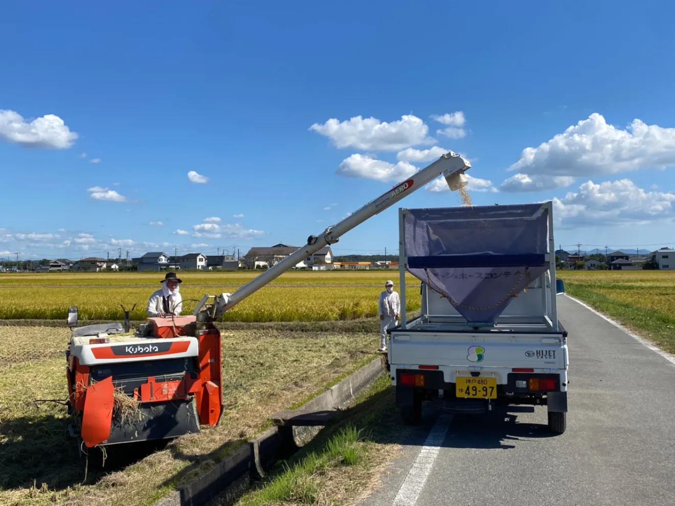 【新米・令和8年産】兵庫県産ヒノヒカリ 白米3kg 農家直送・自家製のお米！ご注文後に精米して発送
