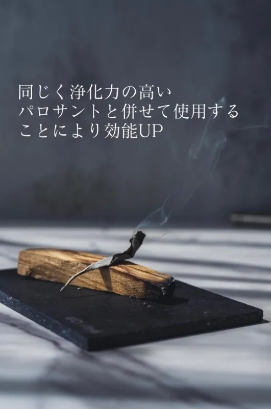【浄化】ホワイトセージ　トップス（枝付きリーフ）30g　浄化　オーガニック