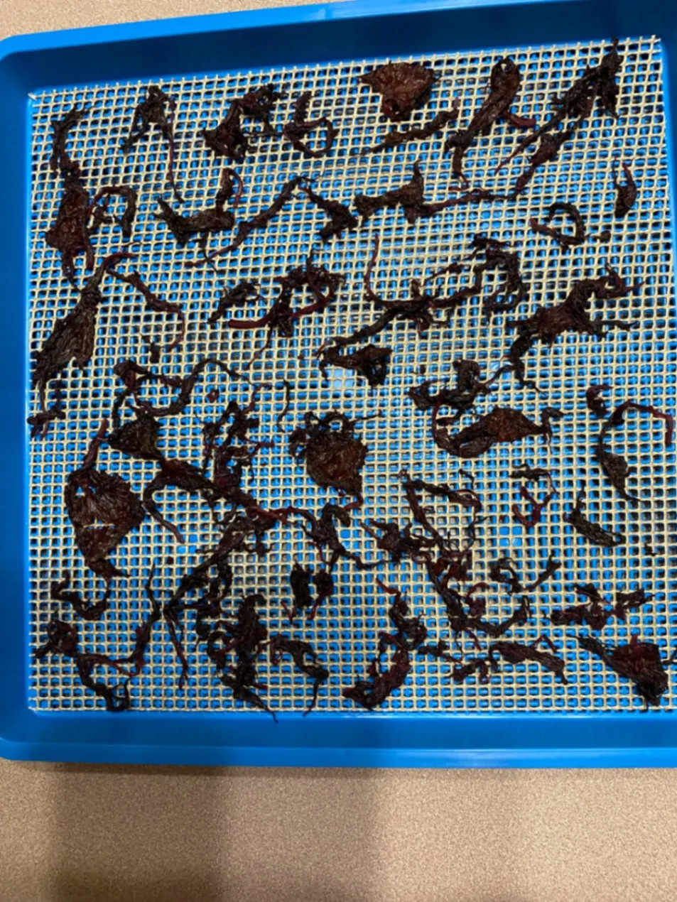 【無添加】赤しその手づくり梅しそふりかけ 20g【送料込み】