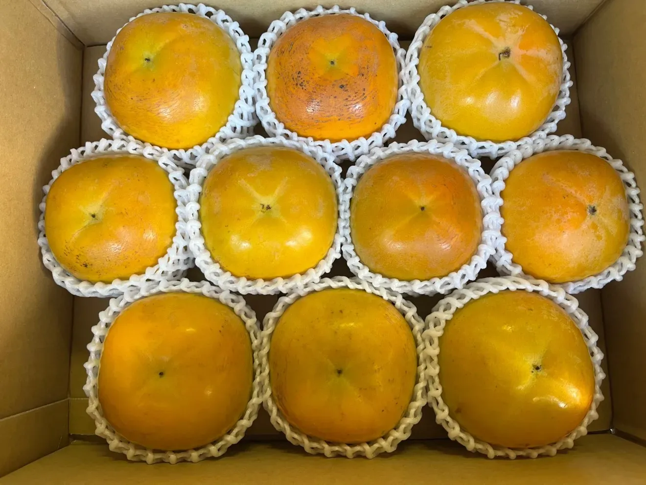 福岡県産たいしゅう(太秋)柿【Lサイズ、10玉】