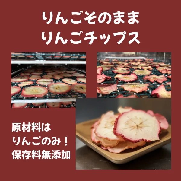 【リベ限定】甘酸っぱい「紅玉りんご」お楽しみセット！（りんごジュース・りんごジャム・りんごチップス）