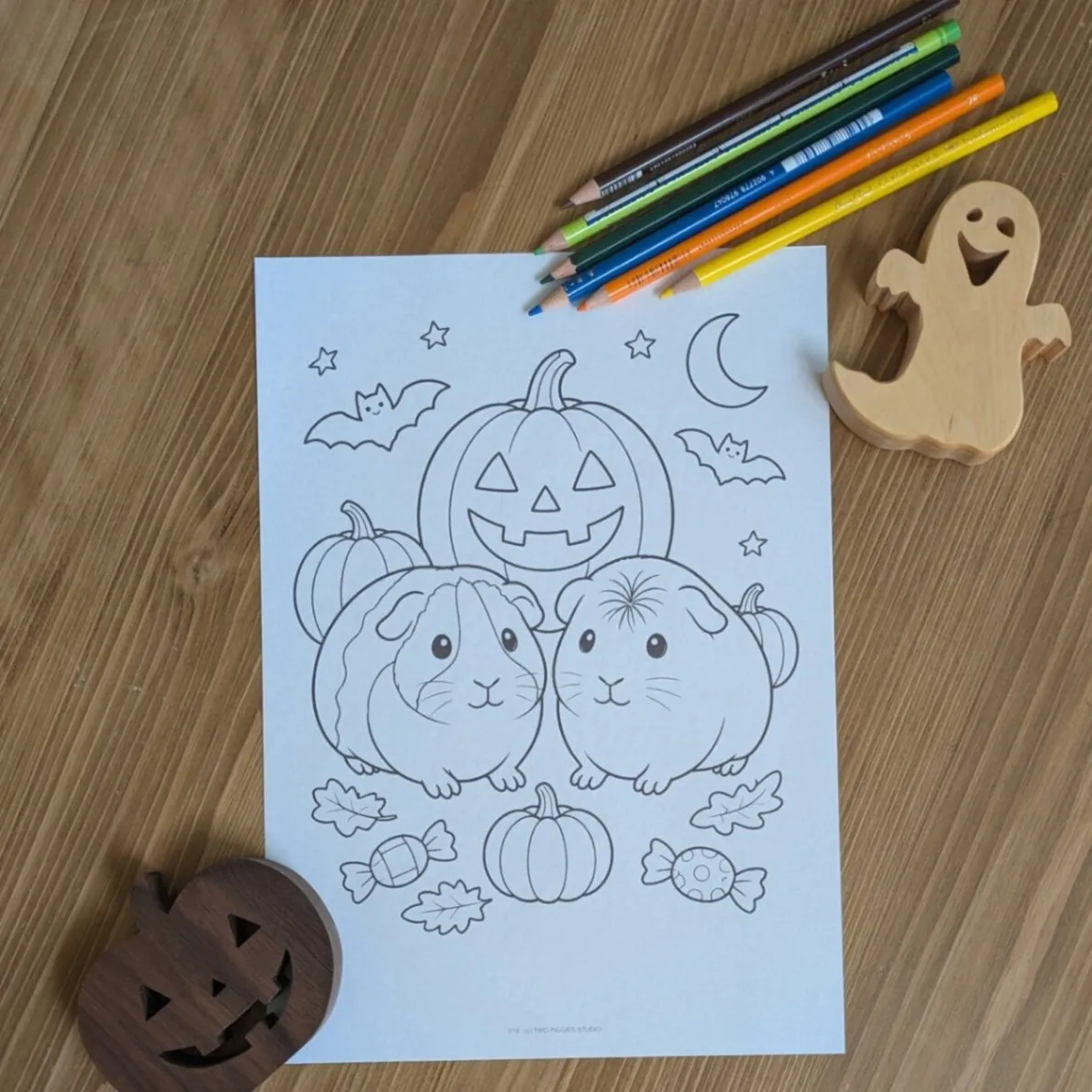 【印刷済み・送料込】ぬりえ10枚　モルモットのハロウィン（子ども向け＋大人向け）A4