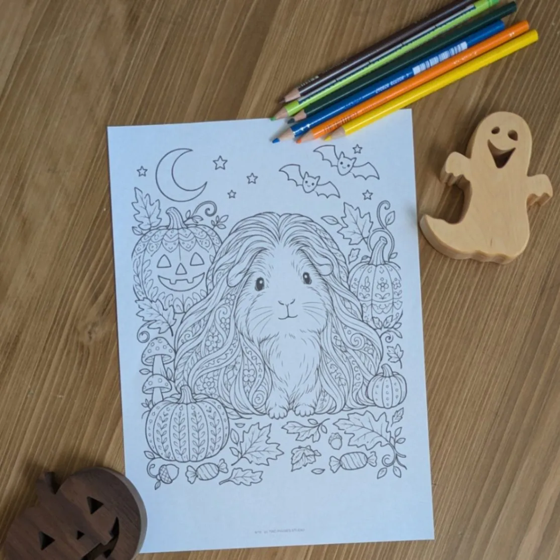 【印刷済み・送料込】ぬりえ10枚　モルモットのハロウィン（子ども向け＋大人向け）A4