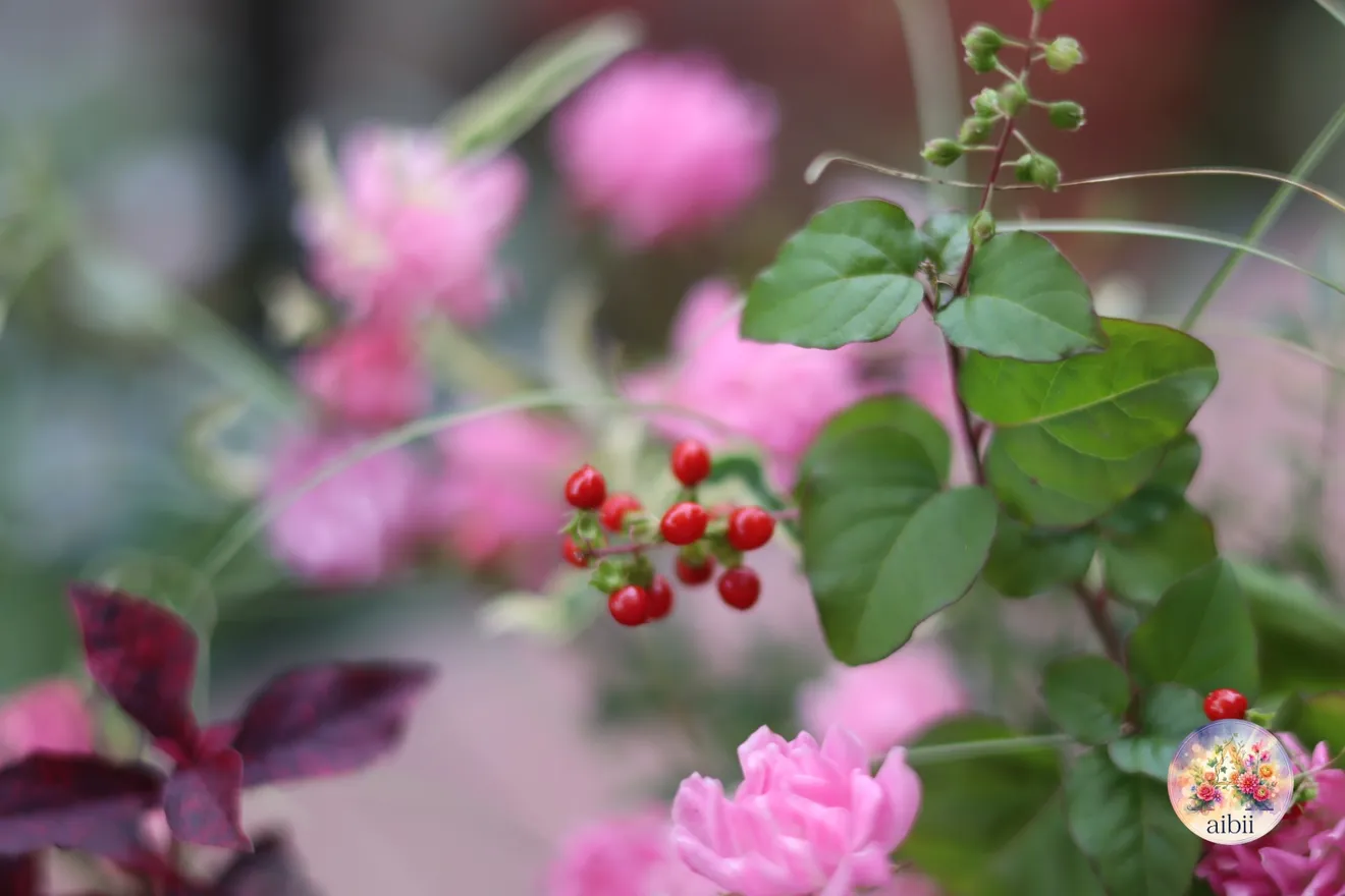 ミニバラ「ほほえみ」とケイトウの寄せ植えバスケット