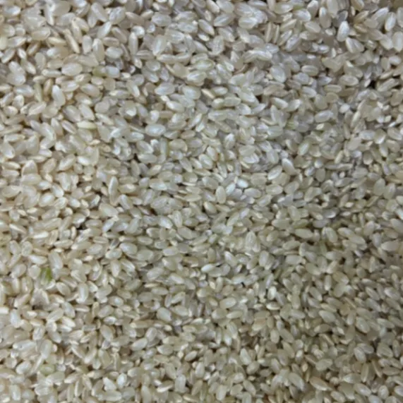 【国産100％】毎日の食卓におすすめ！家計にやさしいブレンド米 玄米30㎏