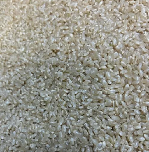 【国産100％】毎日の食卓におすすめ！家計にやさしいブレンド米 玄米30㎏