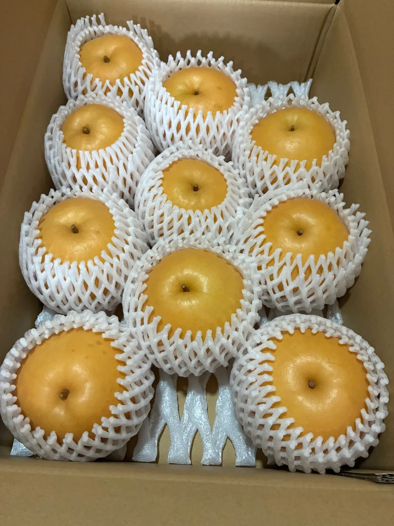 【島根県産】シャリっとジューシー！新興梨（しんこう）家庭用 3kg｜大玉・日持ち◎